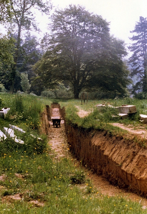 Cutting on East side